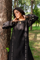 Black embroidered women dress