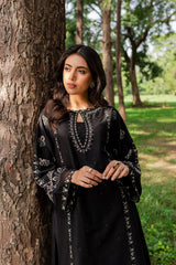 Black embroidered women dress