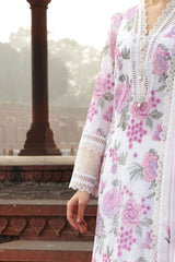 3 Pc Bareezay Cotton 60% Off Fully Embroidered