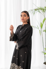 Deep Sea 2Pc winter Embroidered 50% Off