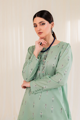 light green pista embroidered 2Pc dresses for women